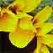 colour